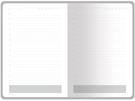 Ежедневник недатированный А5 «Mercury»