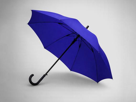 Зонт-трость полуавтомат «Wetty» с проявляющимся рисунком